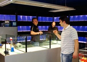 Coralis M 2000 - Constructii, amenajari acvarii, comercializare pesti exotici